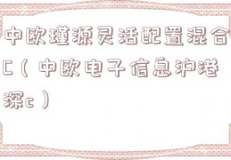 中欧瑾源灵活配置混合C（中欧电子信息沪港深c）