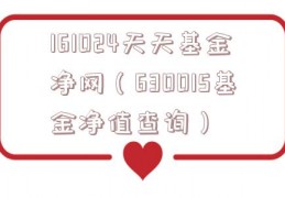 161024天天基金净网（630015基金净值查询）