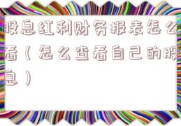 股息红利财务报表怎么看（怎么查看自己的股息）