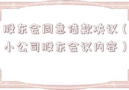 股东会同意借款决议（小公司股东会议内容）