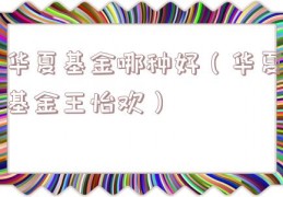 华夏基金哪种好（华夏基金王怡欢）