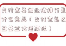 支付宝基金业绩排行是什么意思（支付宝怎么查基金估值高低）