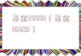 基金20001（基金161601）