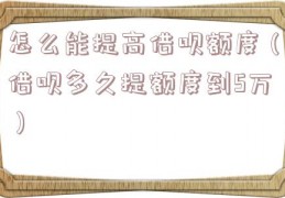 怎么能提高借呗额度（借呗多久提额度到5万）