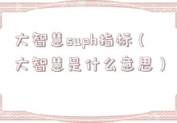 大智慧suph指标（大智慧是什么意思）