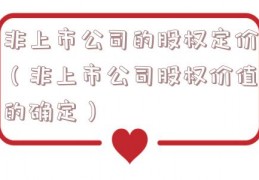 非上市公司的股权定价（非上市公司股权价值的确定）
