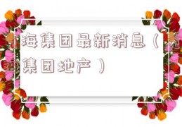 览海集团最新消息（览海集团地产）