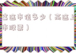 富途市值多少（高途上市股票）