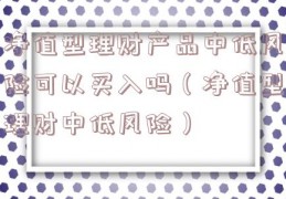 净值型理财产品中低风险可以买入吗（净值型理财中低风险）