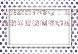 上证综指在哪看（上证指数年度数据在哪里找）