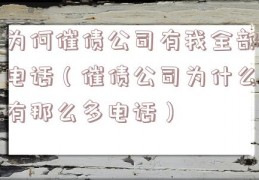 为何催债公司有我全部电话（催债公司为什么有那么多电话）