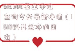519606基金净值查询今天最新净值（161024基金净值查询）