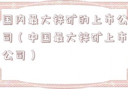 国内最大锌矿的上市公司（中国最大锌矿上市公司）