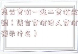 集合竞价一进二竞价金额（集合竞价没人竞价预示什么）