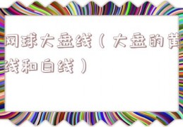 网球大盘线（大盘的黄线和白线）