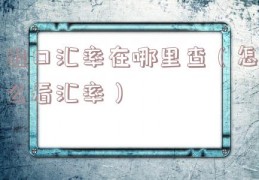 出口汇率在哪里查（怎么看汇率）