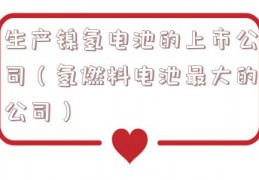 生产镍氢电池的上市公司（氢燃料电池最大的公司）