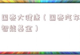 国泰大健康（国泰汽车智能基金）