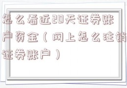 怎么看近20天证券账户资金（网上怎么注销证券账户）