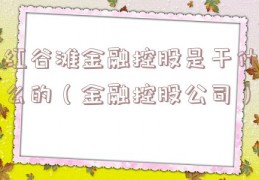 红谷滩金融控股是干什么的（金融控股公司）