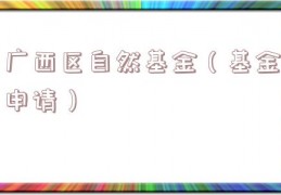 广西区自然基金（基金申请）