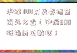 沪深300历史数据查询怎么查（沪深300股指历史数据）