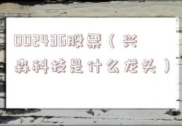 002436股票（兴森科技是什么龙头）