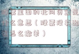 股票里面的北向资金是什么意思（股票没卖出去怎么撤单）