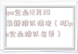 ipo企业12月30最新排队情况（拟ipo企业排队名单）