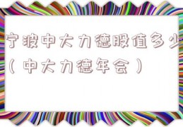 宁波中大力德股值多少（中大力德年会）