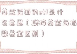 基金后面的etf是什么意思（联接基金与指数基金区别）