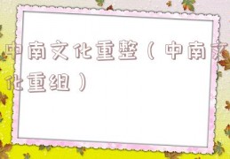 中南文化重整（中南文化重组）