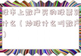 股市上散户买的股票算什么（炒股什么叫散户）