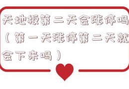 天地板第二天会涨停吗（第一天涨停第二天就会下来吗）