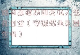 陕西黑猫集团是私人还是国企（安源煤业是国企吗）