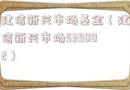 建信新兴市场基金（建信新兴市场539002）
