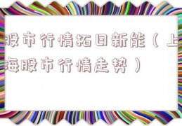 股市行情拓日新能（上海股市行情走势）