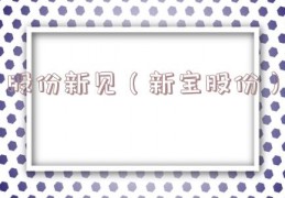 股份新见（新宝股份）