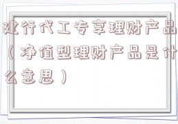 建行代工专享理财产品（净值型理财产品是什么意思）