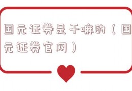 国元证券是干嘛的（国元证券官网）