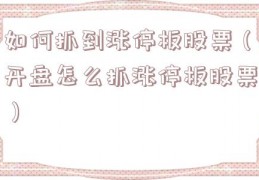 如何抓到涨停板股票（开盘怎么抓涨停板股票）