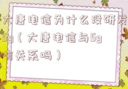 大唐电信为什么没研发5g（大唐电信与5g有关系吗）
