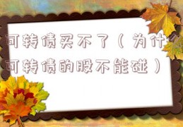 可转债买不了（为什么可转债的股不能碰）