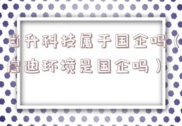 当升科技属于国企吗（启迪环境是国企吗）