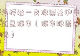 怎样看一支股票是沪市还是深市（深市股票代码）