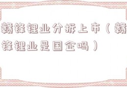 赣锋锂业分拆上市（赣锋锂业是国企吗）
