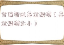合煦智远基金规模（基金规模太小）