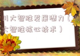 川大智胜发展潜力（川大智胜核心技术）