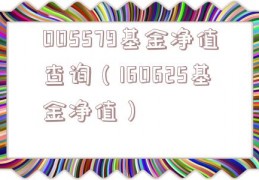 005579基金净值查询（160625基金净值）