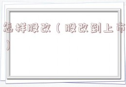 怎样股改（股改到上市）